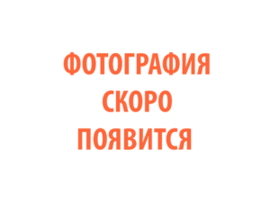 Фото 63 - Горелка TECH TS 18.